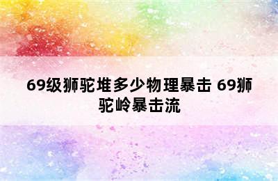 69级狮驼堆多少物理暴击 69狮驼岭暴击流